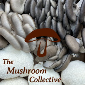 Cam's Mushroom Collective (CSA)